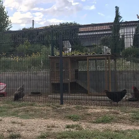 Cocon Aux Portes Des Cevennes Avec Piscine * Moulès-et-Baucels