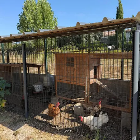 Cocon Aux Portes Des Cevennes Avec Piscine
